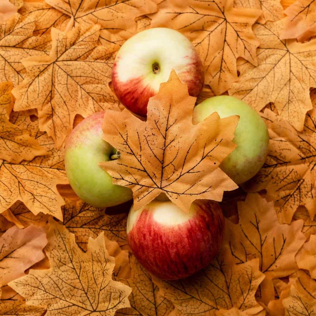 Garść jesiennych inspiracji